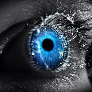 Meet your Posher, Eddy